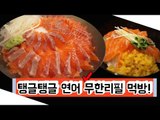[뷰티DaDa] 연어 덕후들은 모여라! 피부에 좋고 맛도 좋은 연어 먹으러 갑시다!ㅣ연어 무한리필 집 먹방