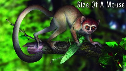 NEW BODY PART DISCOVERED -- Mind Blow #66