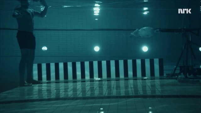 Un scientifique se fait tirer dessus pour une expérience