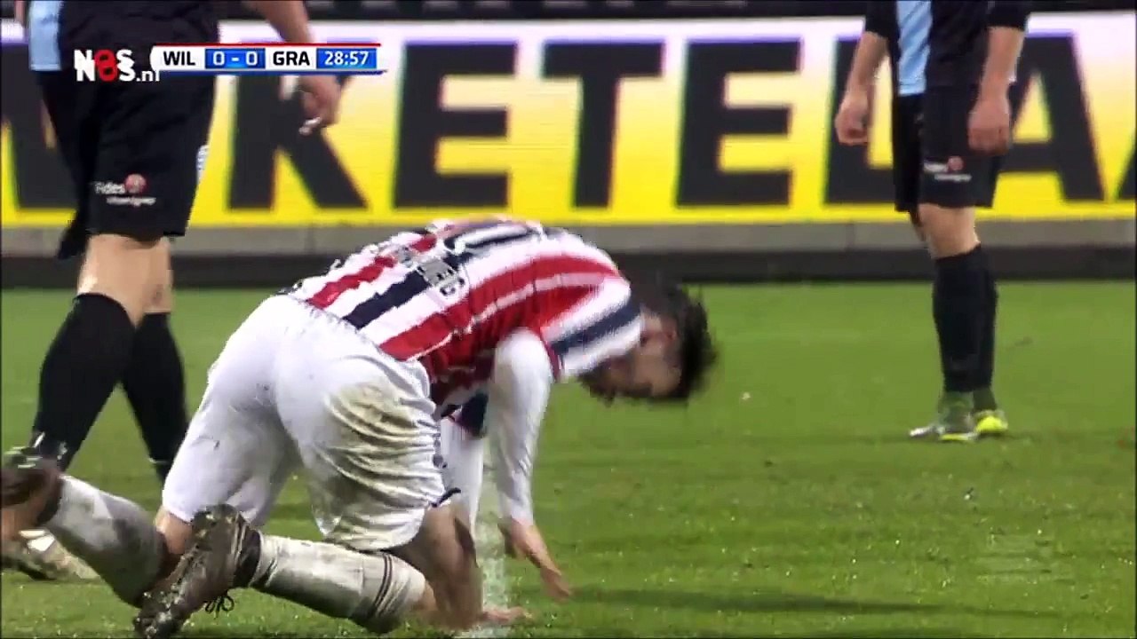 Willem II - De Graafschap