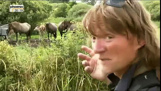 [Doku] Andreas Kieling: Mitten im wilden Deutschland (5/5) Von der Elbe an die Ostsee (HD)