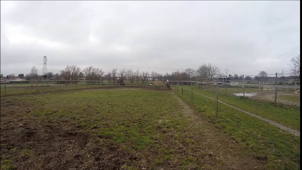 Sur les routes de Gironde, à l'élevage du fleuve à Ambarès-et-Lagrave