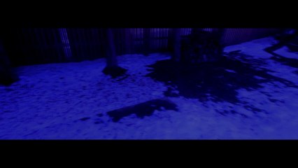 January Edit Reel