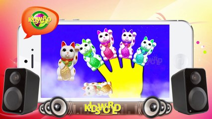 Toon Kity Vs Toon Duck Cartoon Nursery Finger Family For Kids | Baby Songs | Kids World |