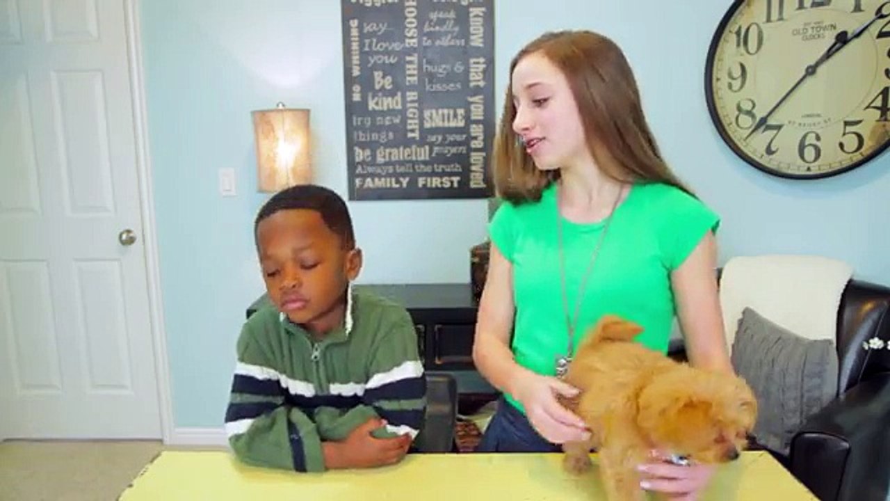 2-Minute Faux Fishtail Braid   Cute Girls Hairstyles