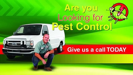 Call (604) 670-4512 To Get The Best Silverfish Control Cost  Aldergrove BC
