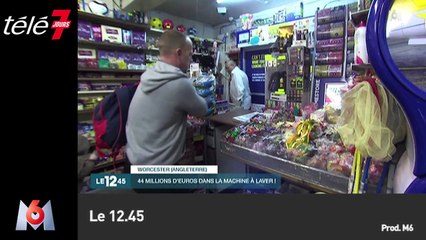 Le zapping du 28/01 : Un paresseux trop chou en détresse !