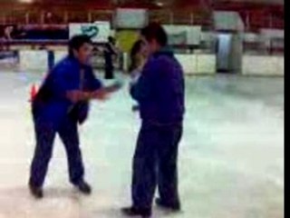 Bovino cae en pista de hielo