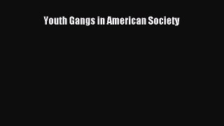 Youth Gangs in American Society  Free Books