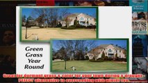 BEST  4000 Sq Feet 4EverGreen Grass and Turf Paint  Have a green lawn all winter long REVIEW