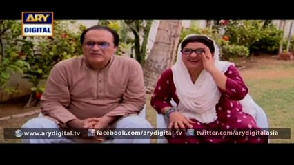 Watch Bulbulay Episode - 246 - 28th January 2016 on ARY Digital