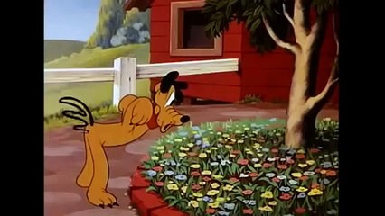 OnYukleme(SDailyBOT)26 -