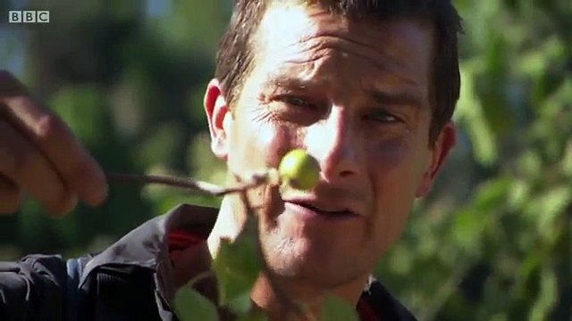 Bear Grylls on Michael McIntyre Chat Show