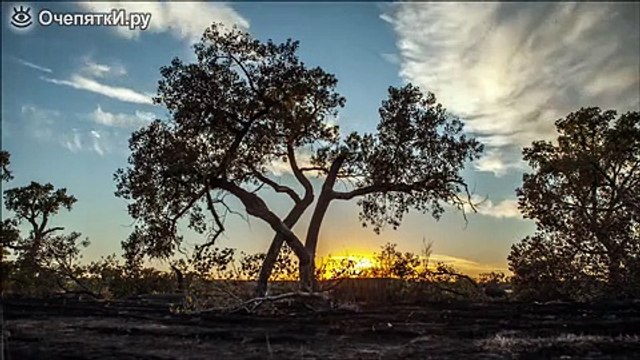 Потрясающие виды Млечного пути