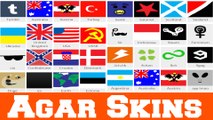 Agar.io All Skins and Countries - How To Use Skins