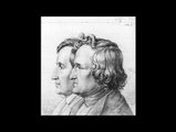 Duch we flaszce - Jacob i Wilhelm Grimm  ( audiobook pl )