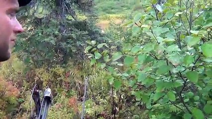 Giant Alaska Moose Hunt