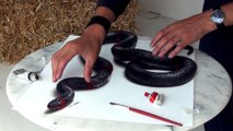 L'impressionnant talent de cet artiste qui peint un serpent en 3D va vous éblouir