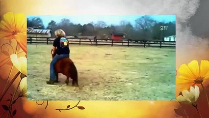 video funny baby,  very funny video,  video funny clip,  video funny animals