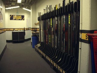 "Le Royaume des Dragons"