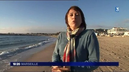 Forum entreprises au collège Massenet (JT Marseille)