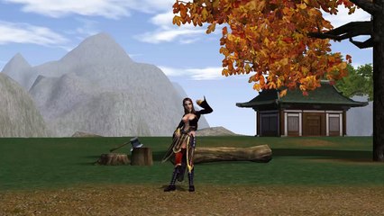 Metin2 SG Video Contest