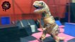 Dinosaur parkour - jurassic parkour t- rex