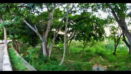 Digital Photography Success 2015