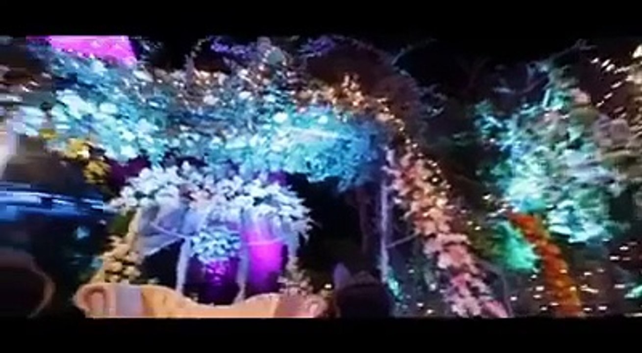 Sanam Jung Wedding Video