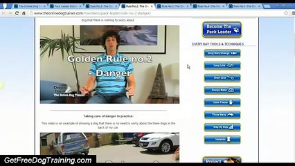 Best Reviews of the Online Dog Trainer - Doggy Dans 5 Golden Rules