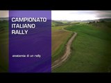 Ruote in Pista n. 2247 - Campionato Italiano Rally Andreucci Andreussi