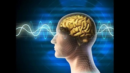 60 Second Panic Solution Download.mp4