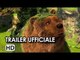 Il Grande Orso Trailer Ufficiale