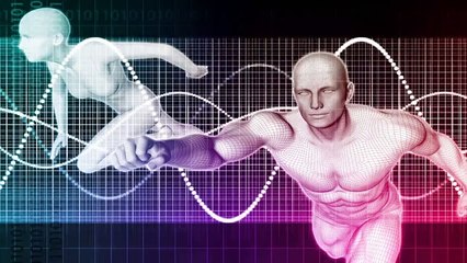 6 Week Shred Fat Burning Workout Program