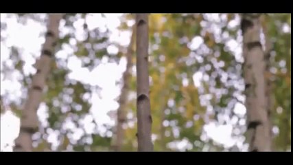 Ce couteau, le plus tranchant du monde, est probablement illégal