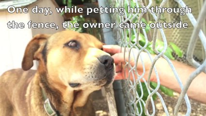 Enchaîné à un mur depuis 10 ans, admirez sa réaction lorsqu'il goûte à la liberté!