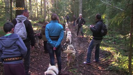 AGORA - 28 janvier 2016 - Voyons Voir  - TéléGrenoble