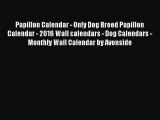 Papillon Calendar - Only Dog Breed Papillon Calendar - 2016 Wall calendars - Dog Calendars