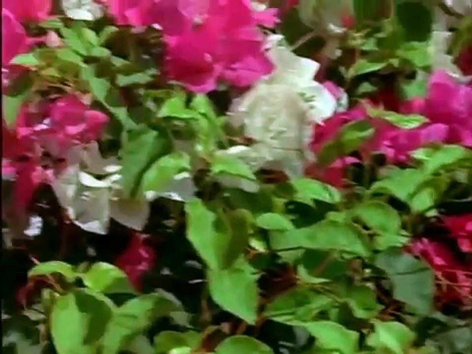 Hindi song 2016 Gunguna Rahe Hain Bhanware - Aradhana - Rajesh Khanna & Sharmila Tagore - Classic Romantic Songs