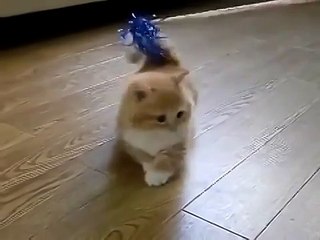 Вы видели что-то милее!)