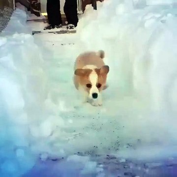 I bet he thinks this was done just for him!