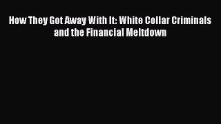How They Got Away With It: White Collar Criminals and the Financial Meltdown  Read Online Book