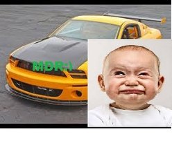 Doflamingo Nino le pire joueur de cours sur le sable :)