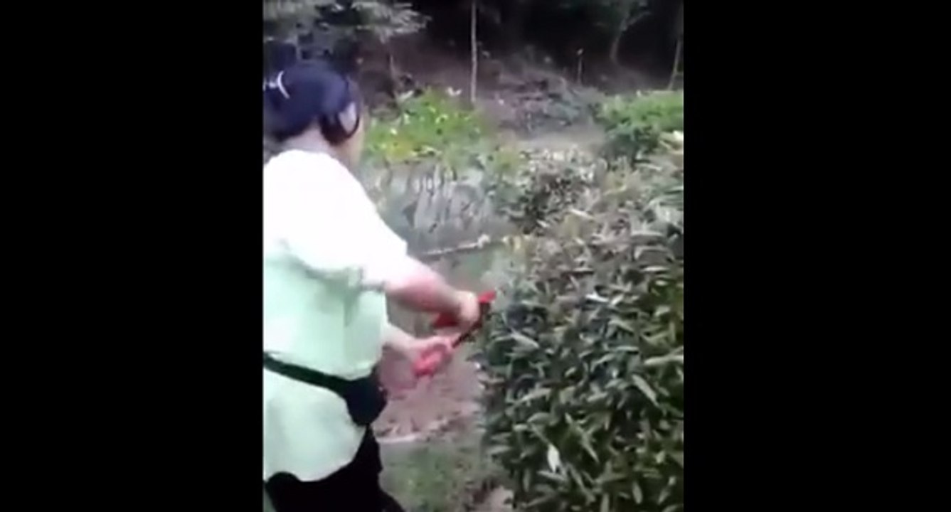 Une femme trouve un nid d'oiseaux