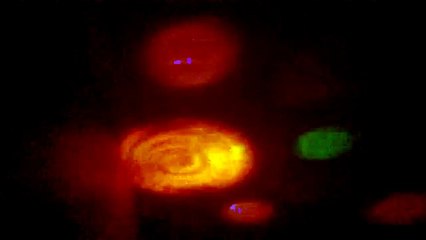 The Universe on My Ceiling That Emits From My Disco Ball Light, April 27th, 2015 (Funny Videos 720p)