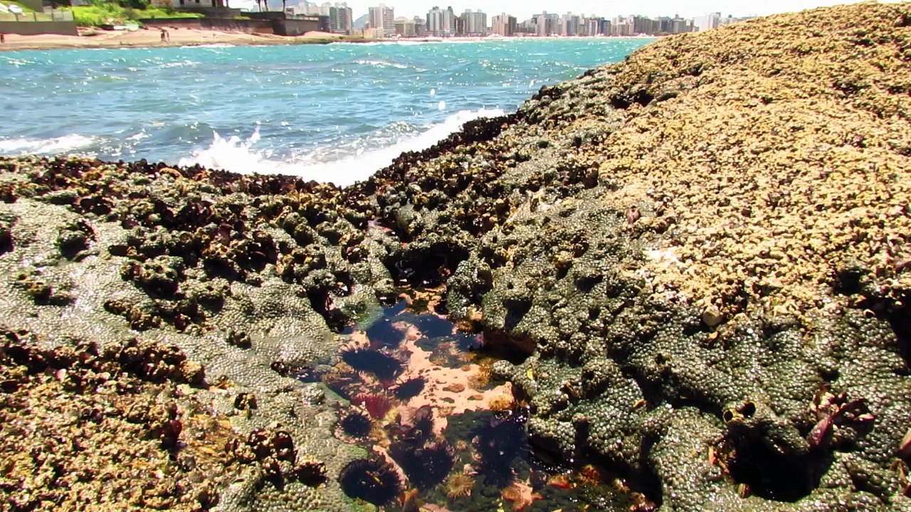 Praia do Morro, Guarapari