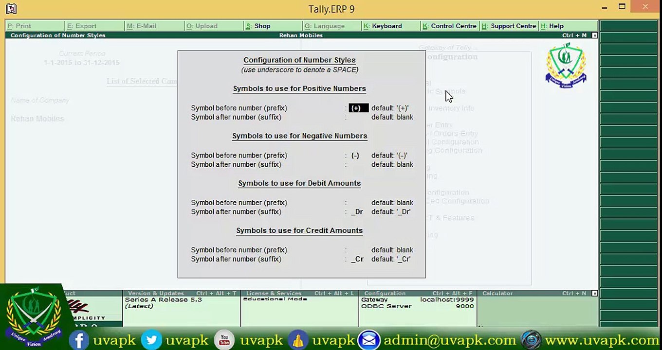 Lecture 4 how to configure numeric and symbols in tally in hindi urdu