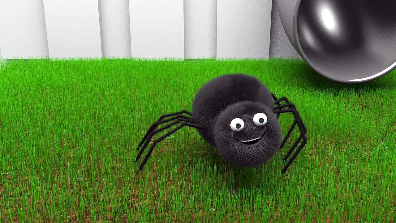The Itsy Bitsy Spider