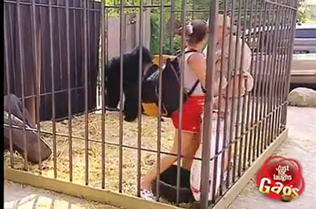 best ever vines 2016 funny fails funny compilation 2015