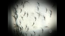 DF: Kits de exames que detectam a dengue estão em falta